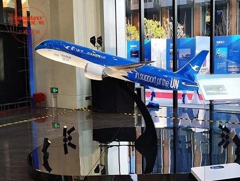 Case - Xiamen Airlines