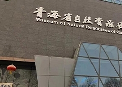 Qinghai Provincial Natural Resources Museum Project