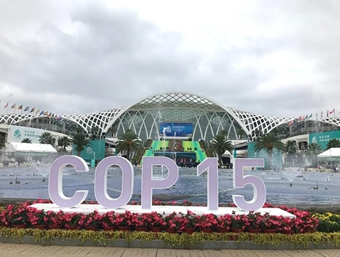 UN Biodiversity Conference (COP 15)